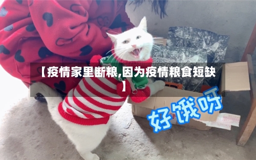【疫情家里断粮,因为疫情粮食短缺】-第3张图片