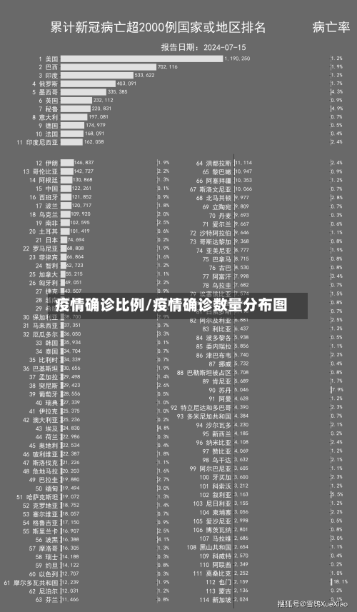 疫情确诊比例/疫情确诊数量分布图