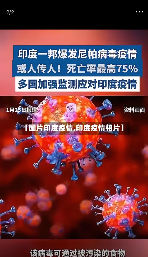 【图片印度疫情,印度疫情相片】-第2张图片
