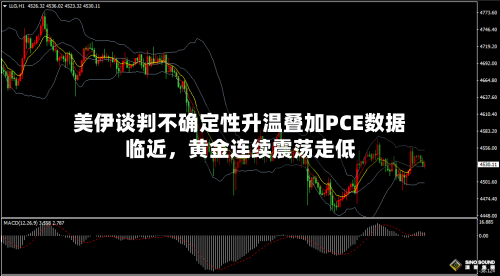 美伊谈判不确定性升温叠加PCE数据临近	，黄金连续震荡走低-第2张图片