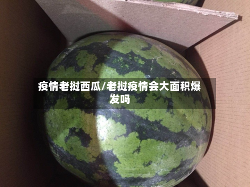 疫情老挝西瓜/老挝疫情会大面积爆发吗
