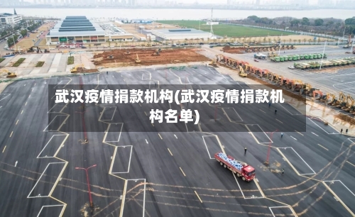 武汉疫情捐款机构(武汉疫情捐款机构名单)
