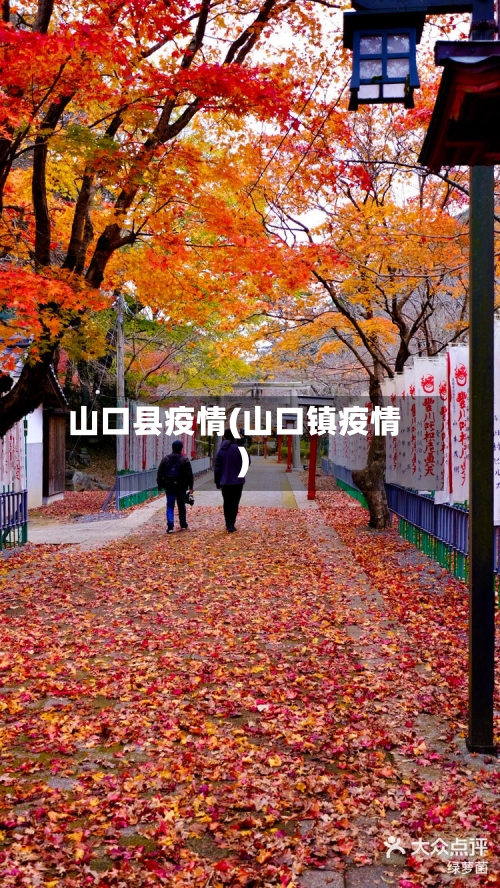 山口县疫情(山口镇疫情)