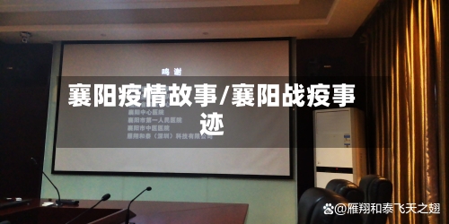 襄阳疫情故事/襄阳战疫事迹