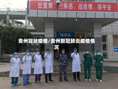 贵州冠状疫情/贵州新冠肺炎疫情情况-第2张图片