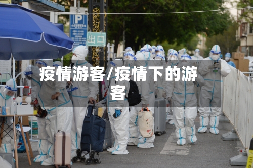 疫情游客/疫情下的游客