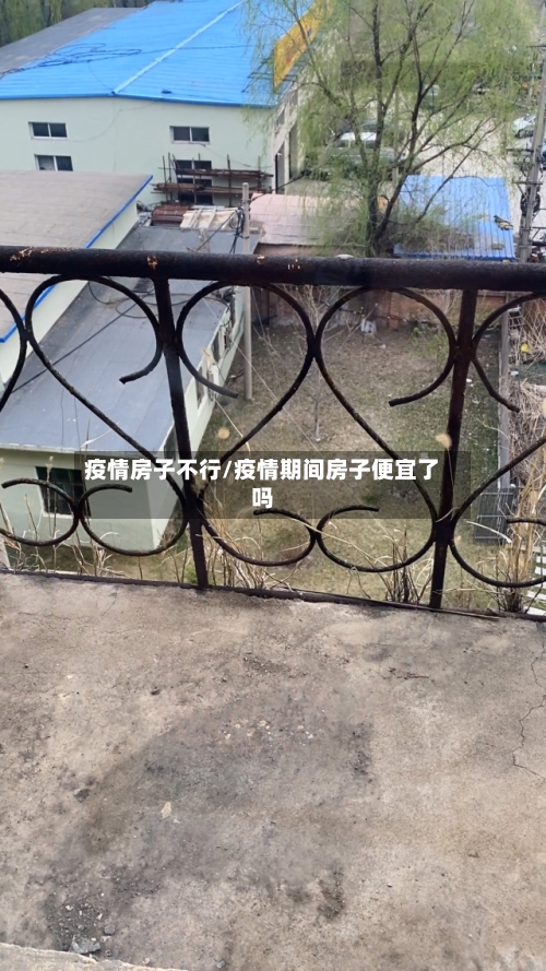 疫情房子不行/疫情期间房子便宜了吗-第3张图片