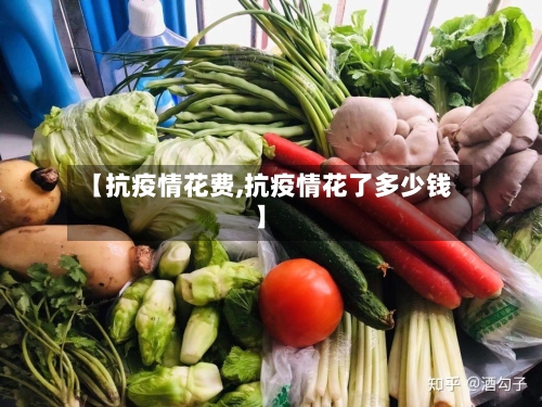 【抗疫情花费,抗疫情花了多少钱】