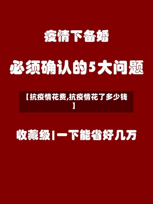【抗疫情花费,抗疫情花了多少钱】-第3张图片
