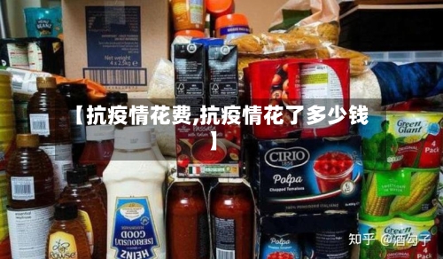 【抗疫情花费,抗疫情花了多少钱】-第2张图片