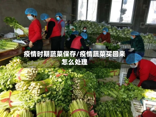 疫情时期蔬菜保存/疫情蔬菜买回来怎么处理