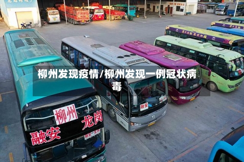 柳州发现疫情/柳州发现一例冠状病毒