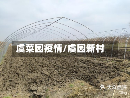 虞菜园疫情/虞园新村-第2张图片