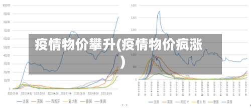 疫情物价攀升(疫情物价疯涨)-第2张图片