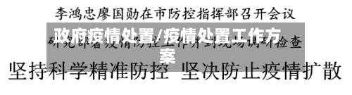政府疫情处置/疫情处置工作方案