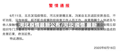 河北疫情最新公布/河北 疫情 最新-第2张图片