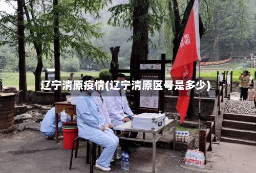 辽宁清原疫情(辽宁清原区号是多少)-第2张图片