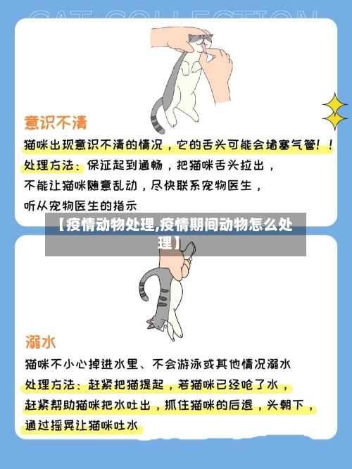 【疫情动物处理,疫情期间动物怎么处理】