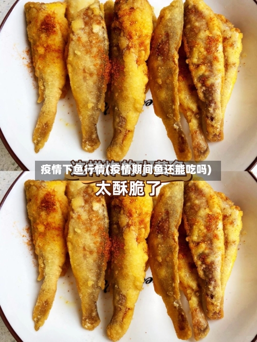 疫情下鱼行情(疫情期间鱼还能吃吗)