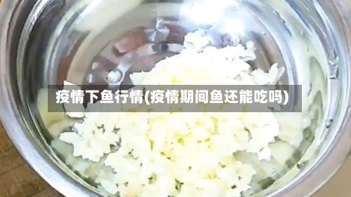 疫情下鱼行情(疫情期间鱼还能吃吗)-第2张图片