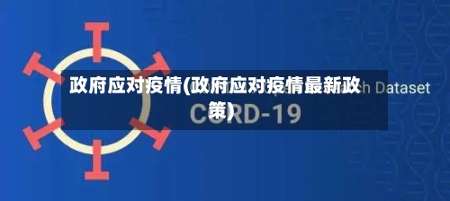政府应对疫情(政府应对疫情最新政策)
