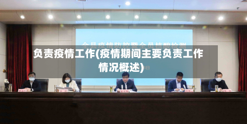 负责疫情工作(疫情期间主要负责工作情况概述)