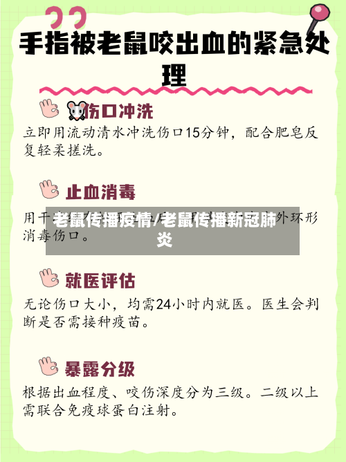 老鼠传播疫情/老鼠传播新冠肺炎-第2张图片